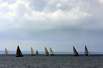 Segelregatta