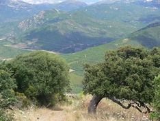 Landschaft auf Sardinien