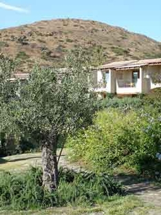 Immobilienmakler auf Sardinien