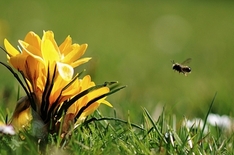 Frühling