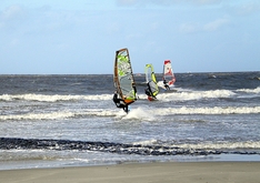 Windsurfer