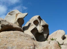Narrenfreiheit auf Sardinien