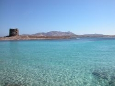 Pelosa Insel vor Stintino