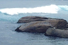 Wellen vor der Küste Sardinien